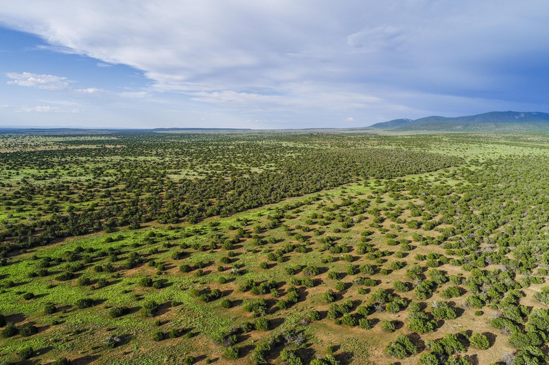 Atkinson Ranch