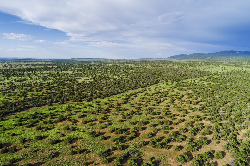 Atkinson Ranch