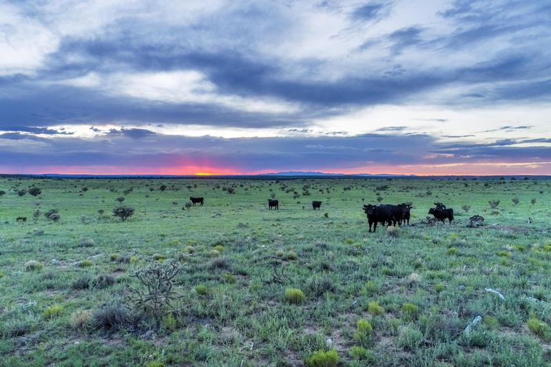 Atkinson Ranch