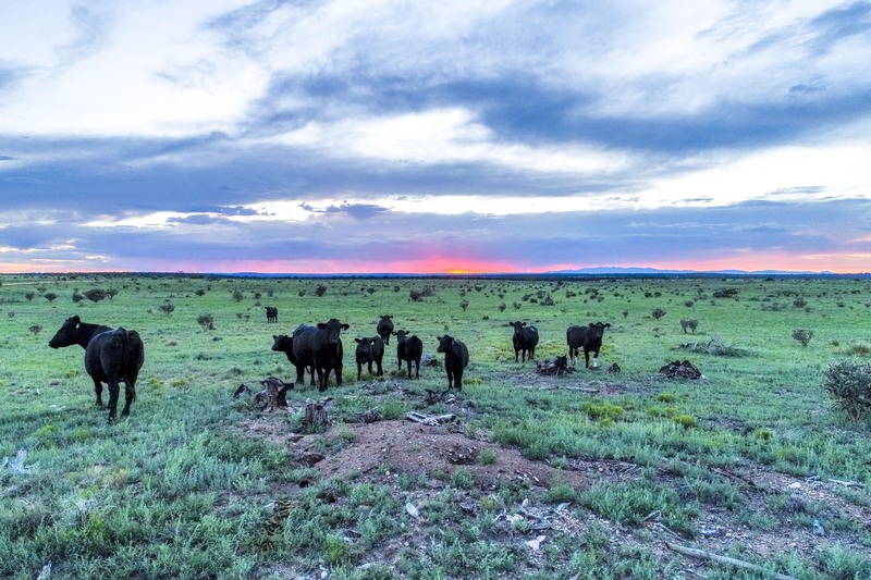 Atkinson Ranch