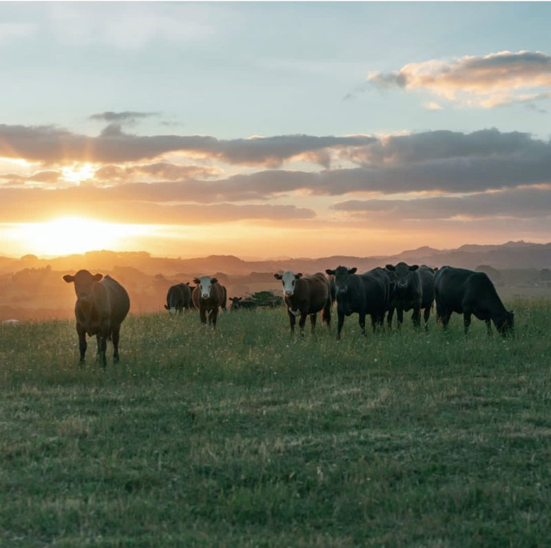 Atkinson Ranch