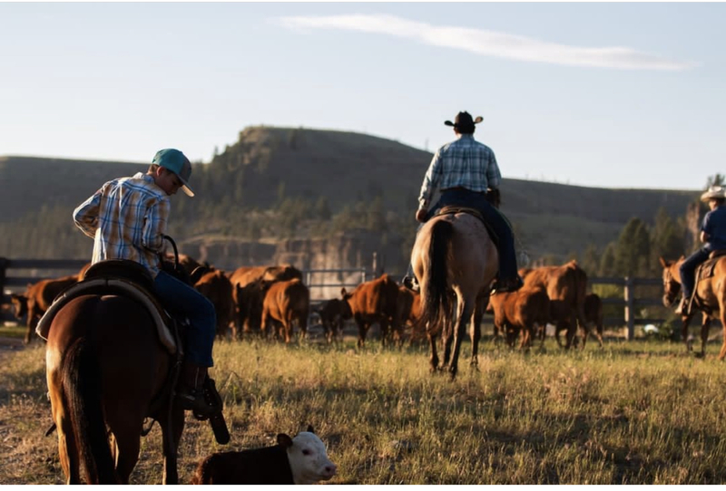 Atkinson Ranch