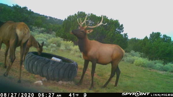 Atkinson Ranch
