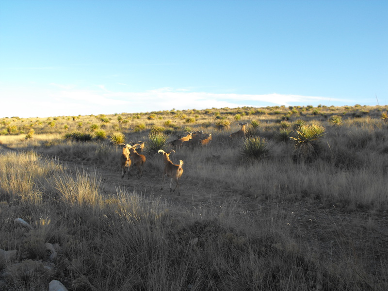 Squaw Canyon Ranch