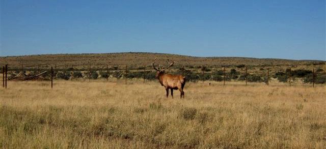 Squaw Canyon Ranch