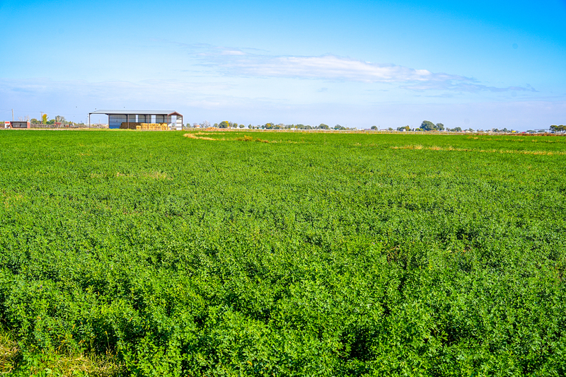Pair O Dice Ranch