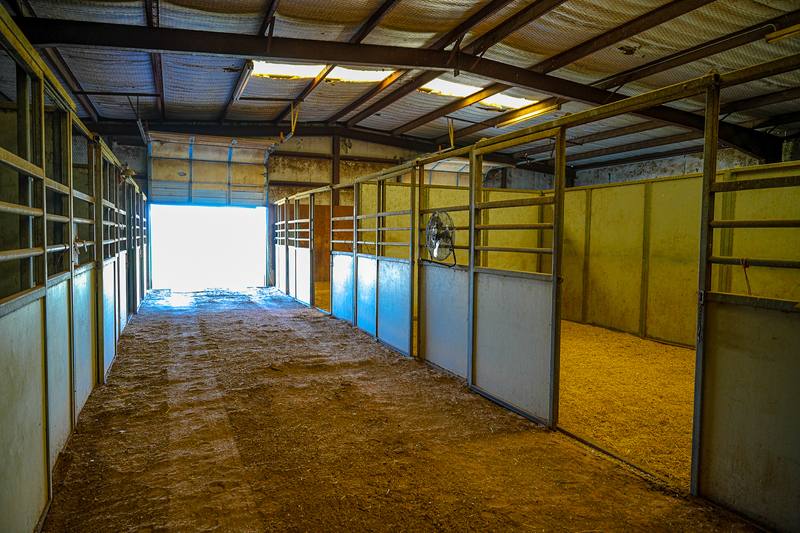 Pair O Dice Ranch