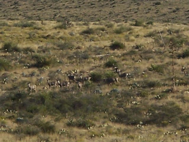 Horse Canyon Ranch