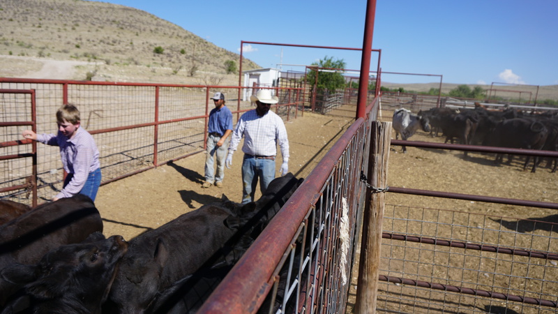 Horse Canyon Ranch