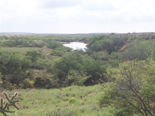 Horse Canyon Ranch