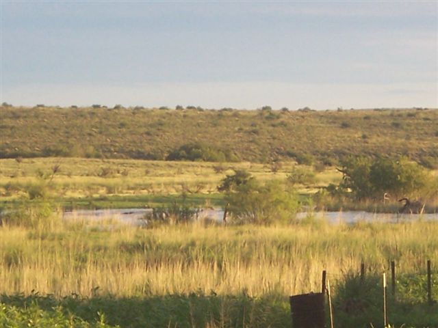 Horse Canyon Ranch