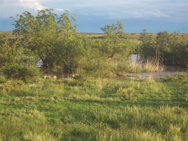 Horse Canyon Ranch