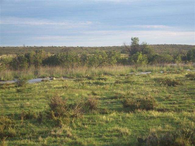 Horse Canyon Ranch