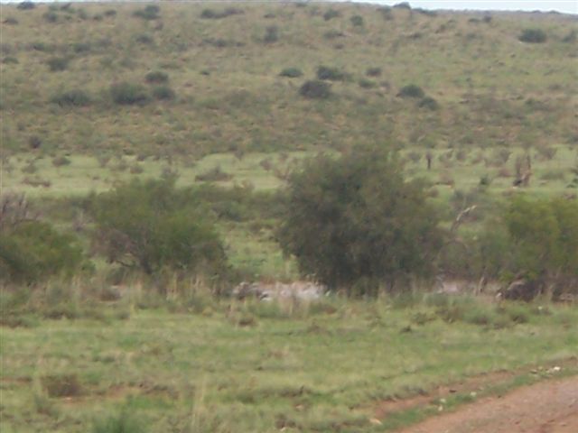 Horse Canyon Ranch