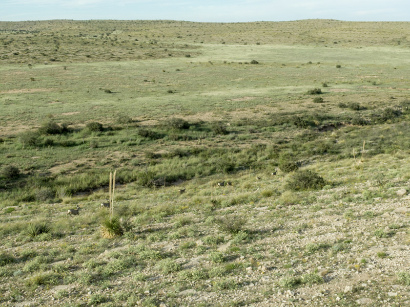 Horse Canyon Ranch