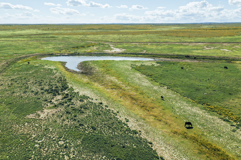 Horse Canyon Ranch