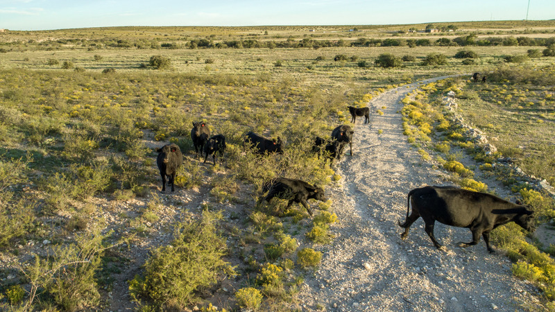 Horse Canyon Ranch