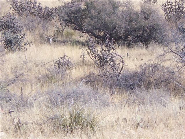 Horse Canyon Ranch