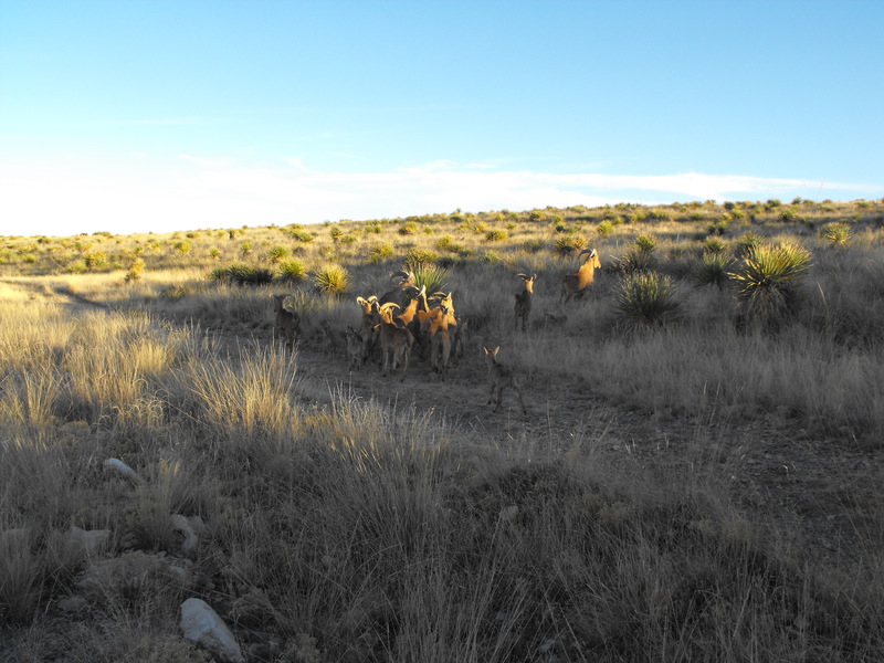 Horse Canyon Ranch