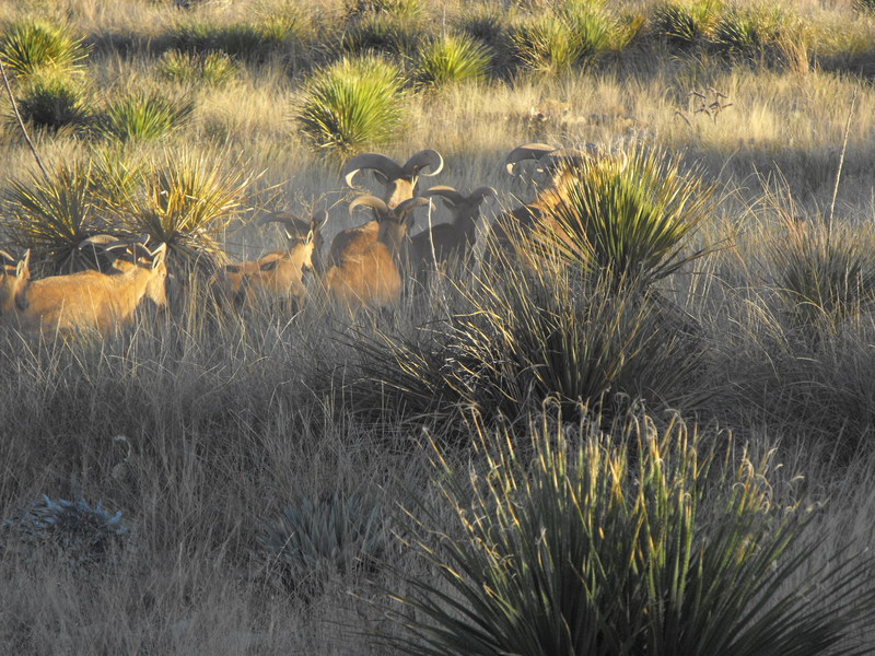 Horse Canyon Ranch