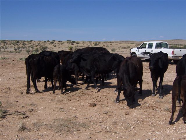 Horse Canyon Ranch