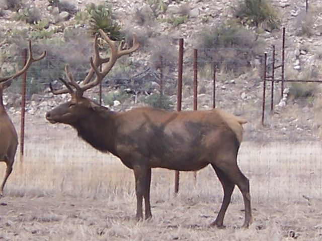 Horse Canyon Ranch