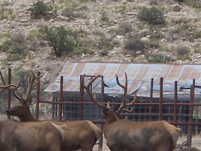 Horse Canyon Ranch