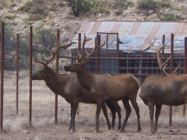 Horse Canyon Ranch