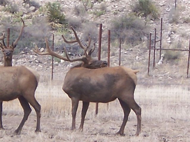 Horse Canyon Ranch