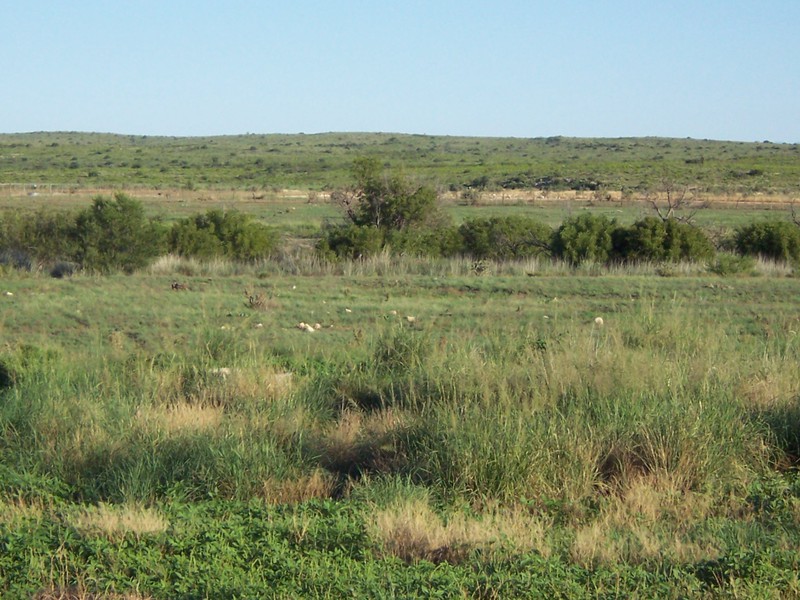 Horse Canyon Ranch