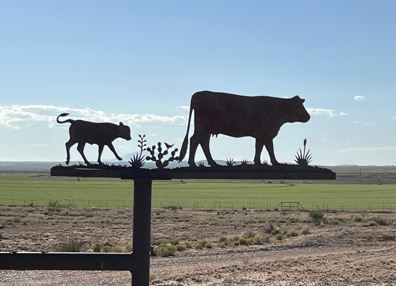 Blue Bell Farm