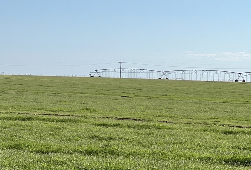 Blue Bell Farm