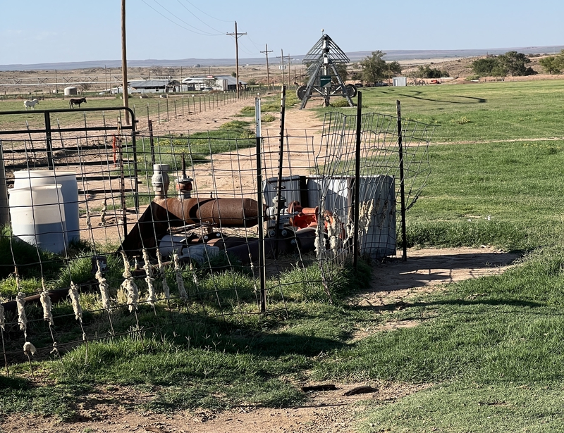 Blue Bell Farm