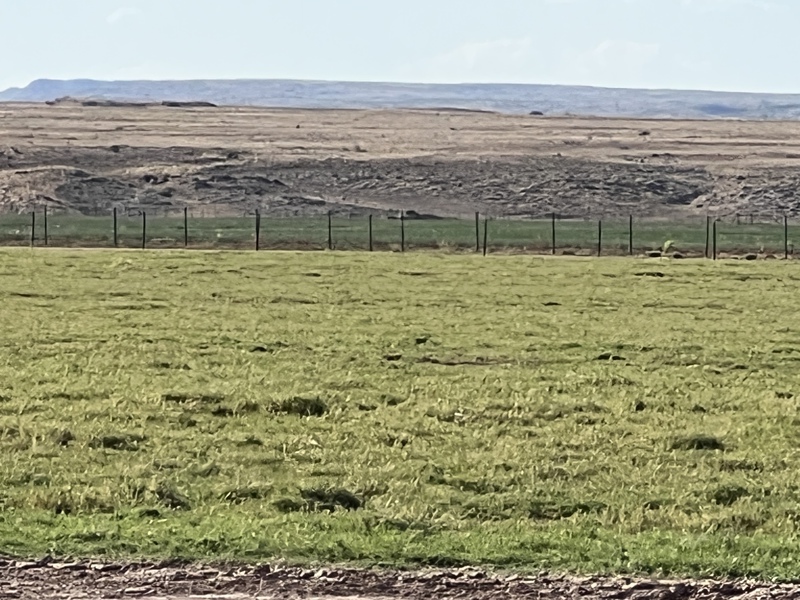 Blue Bell Farm