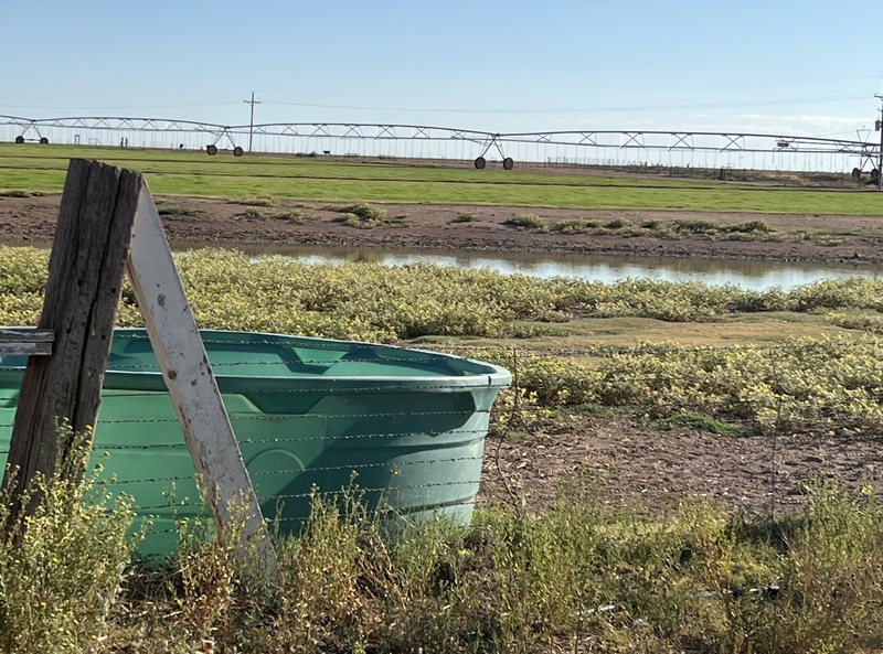 Blue Bell Farm