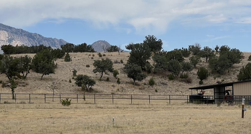 Carneros Ranch