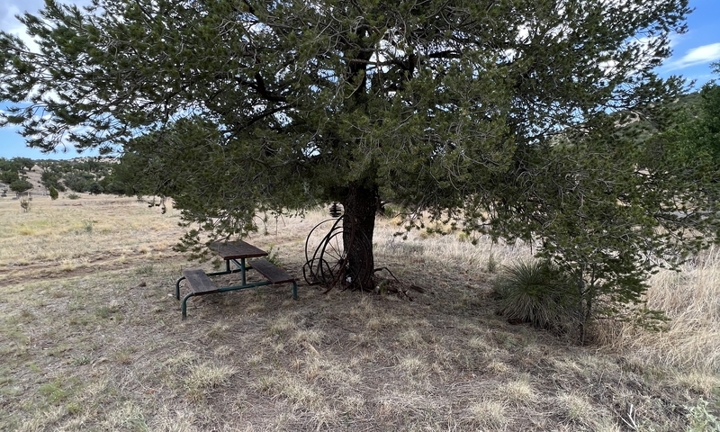 Carneros Ranch