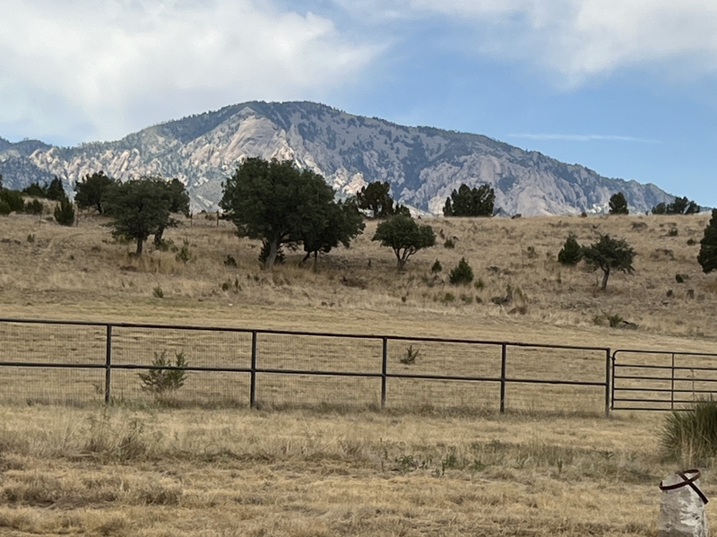 Carneros Ranch