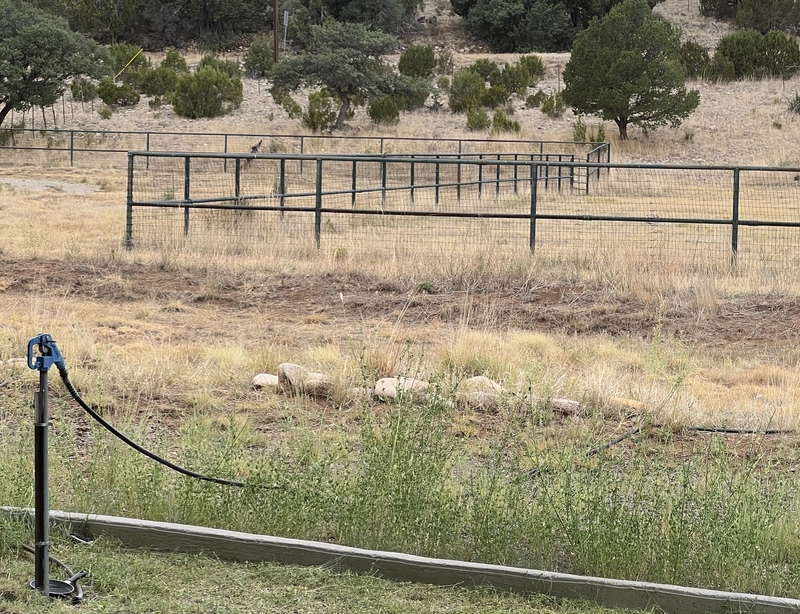 Carneros Ranch