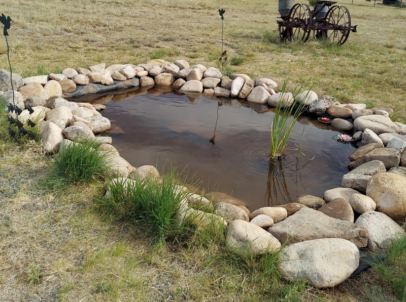 Carneros Ranch