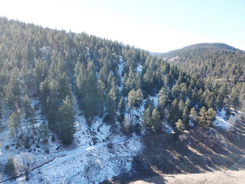 Elk Springs Ranch