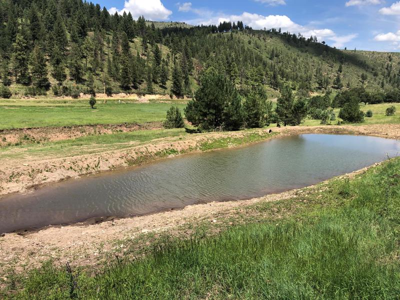 Elk Springs Ranch
