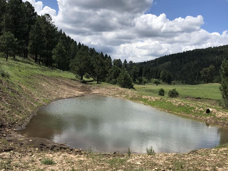 Elk Springs Ranch