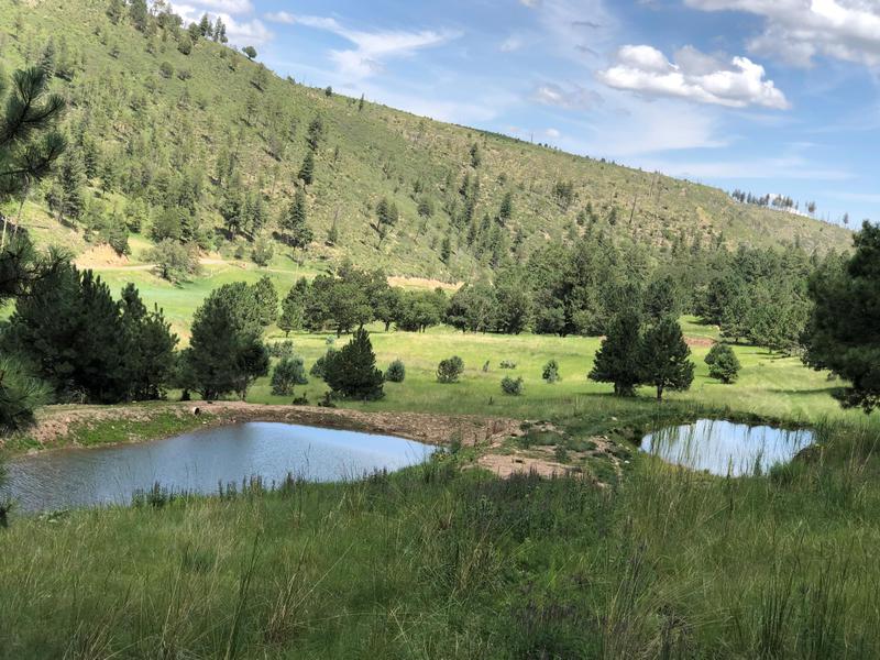 Elk Springs Ranch