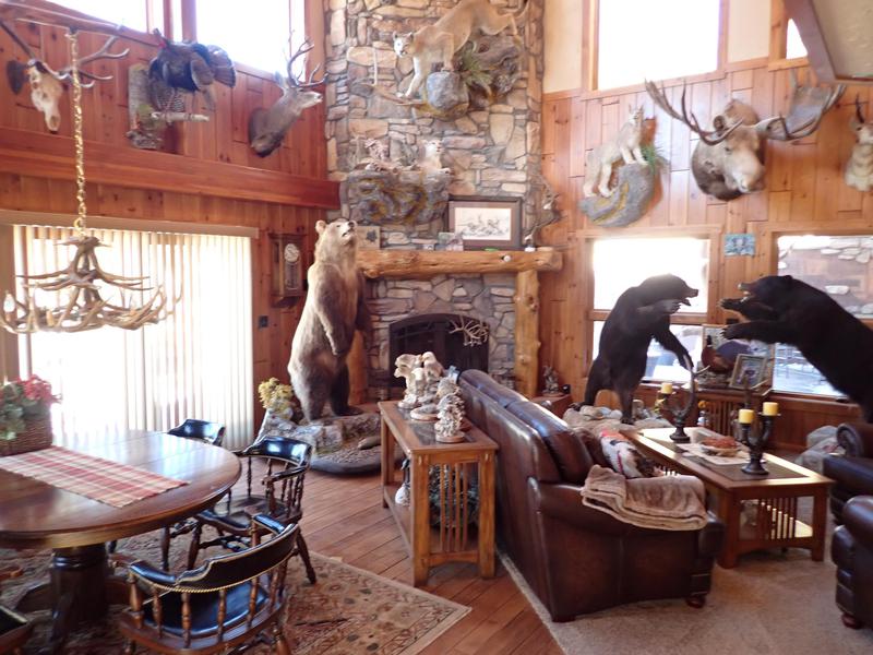 Elk Springs Ranch