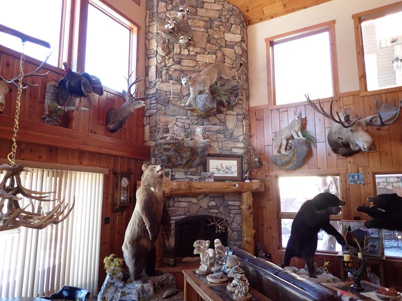 Elk Springs Ranch