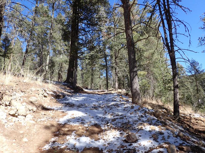 Elk Springs Ranch
