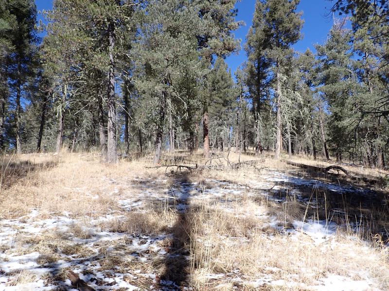 Elk Springs Ranch