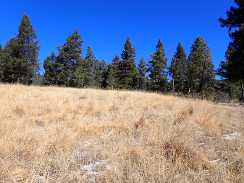 Elk Springs Ranch