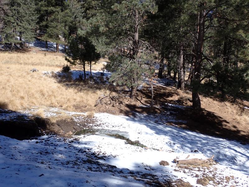 Elk Springs Ranch